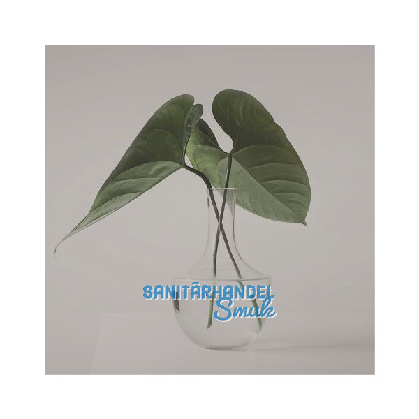 SOLIDO Glasmuster BlackShine 100x150 mm