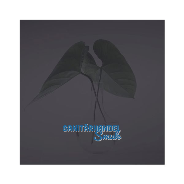 SOLIDO Glasmuster BlackDark 100x150 mm