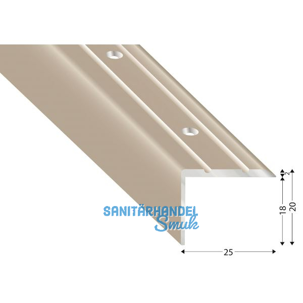 K�GELE Treppenwinkel Alu Edelstahloptik, gelocht, 25/20/2700 mm