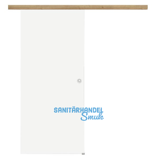 Glasschiebet�r Set Satiniert 820x2100mm, Inlay CPL Risseiche Muschelgriff silber