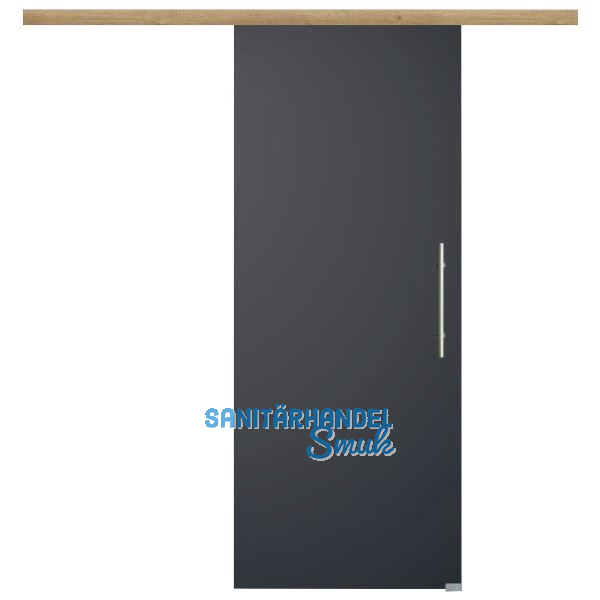 Glasschiebet�r Set BlackDark, 920x2100mm, Inlay CPL Risseiche, Sto�griff silber