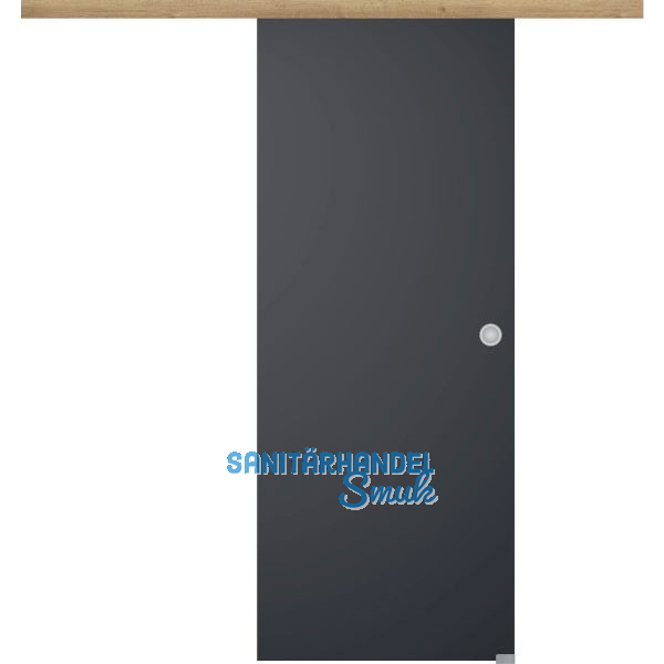 Glasschiebet�r Set BlackDark 820x2100mm Inlay CPL Risseiche Muschelgriff silber