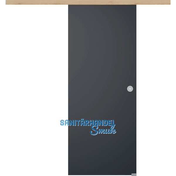 Glasschiebet�r Set BlackDark, 920x2100mm Inlay CPL Achat Muschelgriff silber