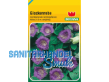 Gemse- u.Blumensamen \Botana\ Kleinformat (81x125mm) B08
