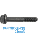 EN1665 10.9 M 8x 60 blank Sechskantschr. m. Flansch (DIN 6921)