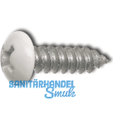 DIN7981C 5.5x 16 PH-Kreuzschlitz Kopf RAL7024 graphitgrau beschichtet ~ISO7049