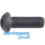 ISO7380-1 10.9 M 3x 6 blank Linsenschraube mit Innensechskant