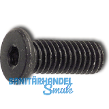 Zylinderschraube mit extrem niedrigem Kopf M 4x 10 Gte 10.9 geschwrzt