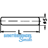 Steckbodentrger Stift, Bohr  5 mm, Lnge 24 mm, vernickelt, VPE 100 ST