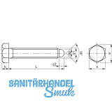 DIN 564 M 6x 12 blank Sechskantschraube mit Ansatzspitze