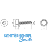 DIN7500DE (D) M 8x30 verzinkt gewindefurchende 6kt-Schraube mit Bund