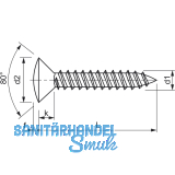DIN7983C 4.2x 38 Phillips-KS Edelstahl A2 Linsensenkkopf-Blechschraube ~ISO7051
