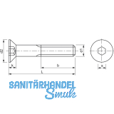ISO10642 8.8 M 6x 25 verzinkt Senkschraube mit Innensechskant (~DIN7991)