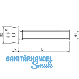 ~ISO1207 M 4x 12 Messing blank Zylinderschraube mit Schlitz (DIN 84A)