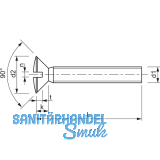 DIN 964A M 5x 25 Edelstahl A4 Linsenschraube mit Schlitz