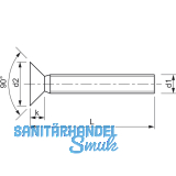 ~ISO7046-2 M 4x 12 Phillips Kreuzschlitz Edelstahl A2 Senkschraube (DIN 965A)