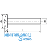 Kombischraube M 6x 35 verzinkt mit Pozidriv Kreuzschlitz und Schlitz