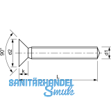 ~ISO7046-1 4.8 M 5x 40 verzinkt Senkschraube mit Suchspitze (DIN 965)