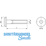 Zylinderkopfschraube M6x100 Gte 4.8 verzinkt mit Innensechskant SW 4
