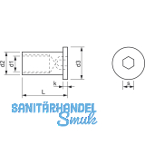 Hlsenmutter Flachrundkopf M10x25 Edelstahl 1.4305