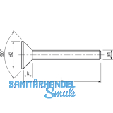 ISO14581 8.8 M 6x45 Torx 30 verzinkt Senkschraube