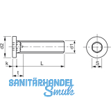 Zylinderschraube mit extrem niedrigem Kopf M 6x 20 Gte 10.9 geschwrzt