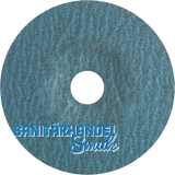 TYROLIT Schleifscheibe Pioneer Premium*** 125 mm Korn 36 2 in 1 Form N Disc