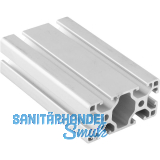 Aluminium Nutprofil ISP Nut 6 L61 leicht 60 x 30 mm 6 Nuten