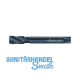 WALTER PARADUR X-pert M Maschinengewindebohrer HSS-E DIN376 �berlaufs. re. M12