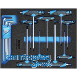 GEDORE Winkelschraubendreher-Satz 2005 CT2-DT 2142 in 2/4 CT-Modul 17-tlg GEDORE Winkelschraubendreher-Satz 2005 CT2-DT 2142 in 2/4 CT-Modul 17-tlg