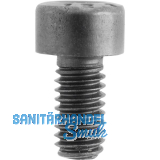 ENT Zylinderschraube Innensechskant M 3,5x6 mm