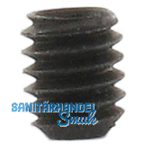 ENT Gewindestift mit Innensechskant M 2,5x2 mm