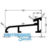 GUTMANN T�rschwelle Weser 52 L=6000 mm auf Ma� 52 x 22 mm Alu silber eloxiert