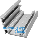 Basisprofil 41AL-Frame-D Edelstahl-Effekt