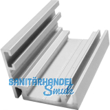 Basisprofil 41AL-Frame-D silber eloxiert