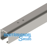 SOLIDO 100 Laufschiene auf Ma� geschnitten Edelstahl-Effekt