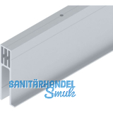 SOLIDO 100/HELM Seitenteilprofil Glas auf Ma� L=6000 mm silber eloxiert