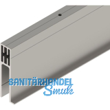 SOLIDO 100/HELM Seitenteilprofil Glas auf Ma� L=6000 mm Edelstahl-Effekt