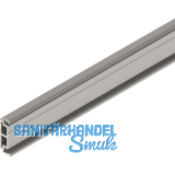 SOLIDO 100/HELM Abstandsprofil 9 mm auf Ma� L=6000 mm Edelstahl-Effekt