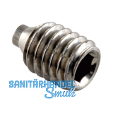 FSB Gewindestift 05 0402 mit Zapfen, M 6 x 9 mm, Edelstahl