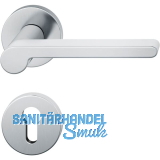 FSB Dr�ckergarnitur 12 1021 ASL auf Rosette PZ, Edelstahl matt