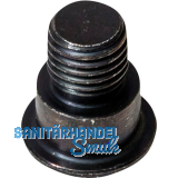 DORMAKABA Schraube für Gleitstück ITS 96 G96 N20/ G 96 GSR DORMAKABA Schraube für Gleitstück ITS 96 G96 N20/ G 96 GSR