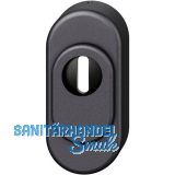 FSB Sicherheitsrosette 73 3249 oval PZ mit Kernziehschutz, Aluminium schwarz