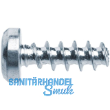 PLASFAST�-Schraube Halbrundkopf 5.0x18 TX20 Stahl verzinkt-blau