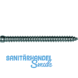 Rahmenanker 7.5x252 Zylinderkopf �7.5 Torx30 verzinkt