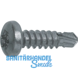 DIN7504N 3.5x 22 Torx15 verzinkt Linsen-Bohrschraube