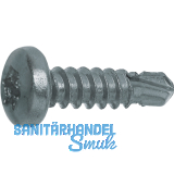 DIN7504N 5.5x 60 Torx25 verzinkt Linsen-Bohrschraube