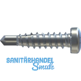 REISSER RP-r-LK-X REFABO Kantteilschraube 4.8x 20 Bimetall A2