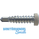 REISSER RP-r-LK-X REFABO Kantteilschraube 4.8x 20 Bimetall A2 - RAL9010