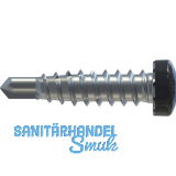 REISSER RP-r-LK-X REFABO Kantteilschraube 4.8x 20 Bimetall A2 - RAL7016